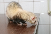 photo_6